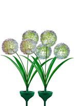 Verlichting op zonne-energie, 2-delige set 