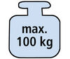 BADERnl_NL1max_100kg_N_detail