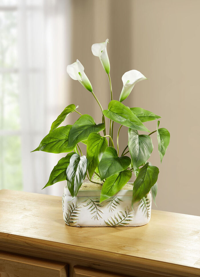 Calla Arrangement in Keramische Pot 