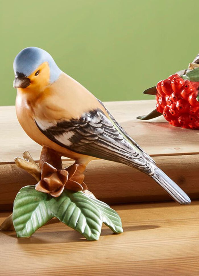 Vogelbeeldjes van hoogwaardig biscuitporselein 