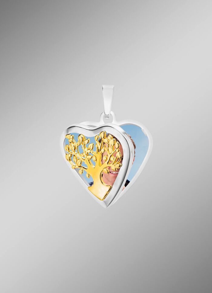 Hartvormig medaillon in tweekleurig om te openen 