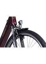 E-bike Comfort Plus 5.0 van Saxonette 