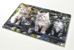 Voetmat kattenliefhebbers 