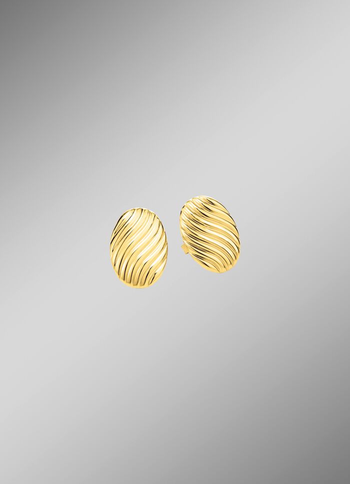 Prachtige oorbellen met groefontwerp 