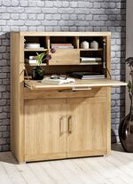 Secretaresse met stevige voorkant WILD EIKEN