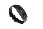 Pedometer 