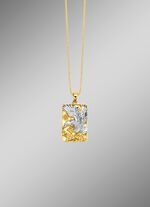 Adelaarshanger in tweekleurig ontwerp 