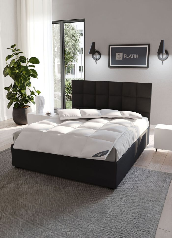 Downprogramma platina van Spessarttraum 