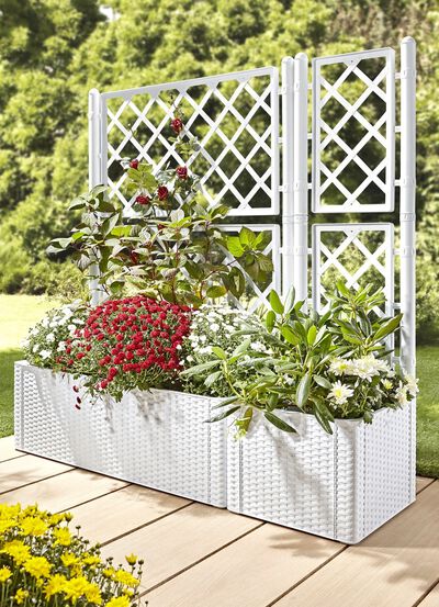 Plantenbak in moderne rotan-look 