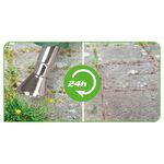 Hammersmith Bionic Burner: de milieuvriendelijke onkruidverdelger 