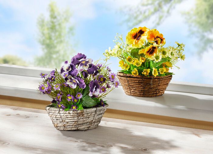 Viooltjes en madeliefjes in een rieten mand PAARS