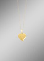 Betoverende hartvormige hanger 