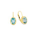 Charmante oorbellen met blauwe toasjes 