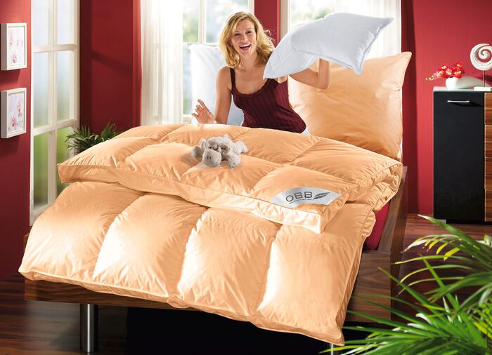 Donsbeddenprogramma van OBB 