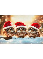 Deurmat met antislip rubberen achterkant 