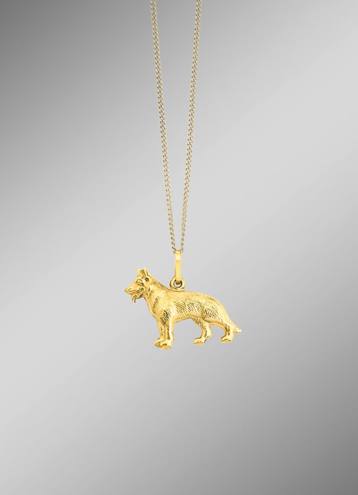 Voor hondenliefhebbers: Interessante gouden hanger 