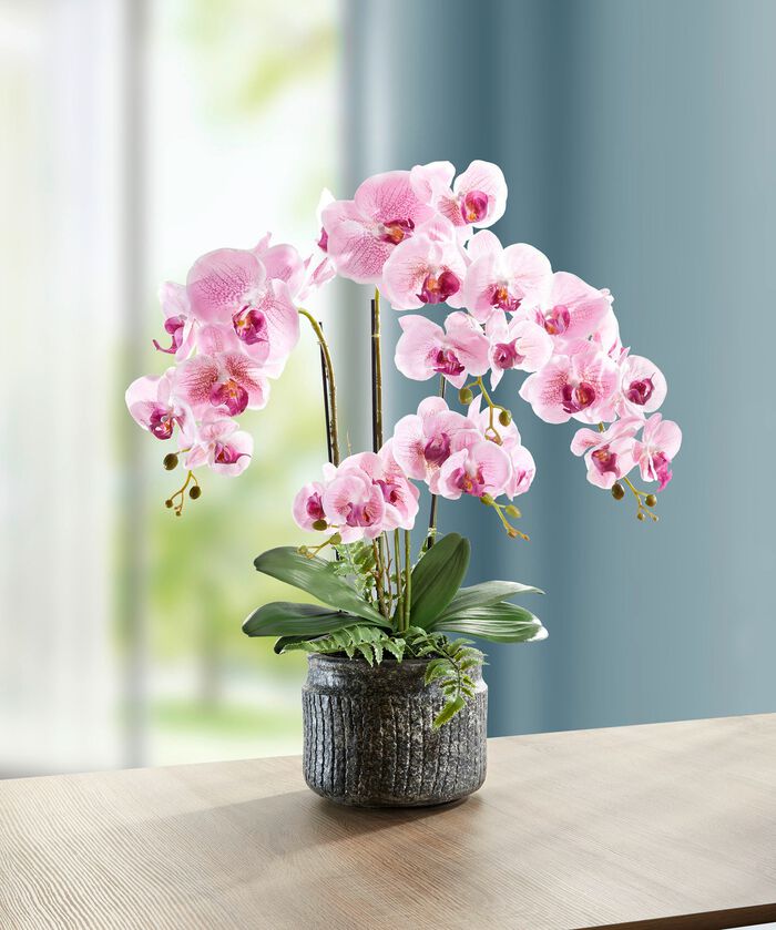 Orchidee&euml;n arrangement in een pot ROZE