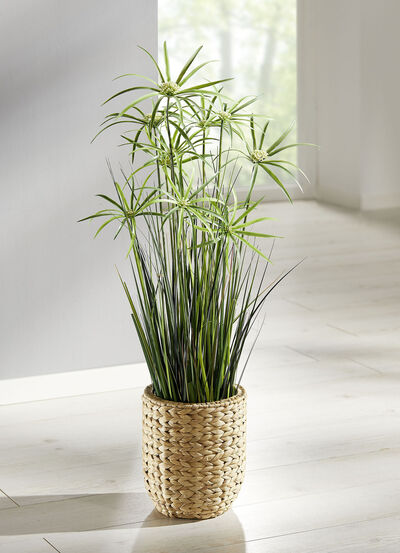 Cyprusgras van hoogwaardig kunstmateriaal, in pot 