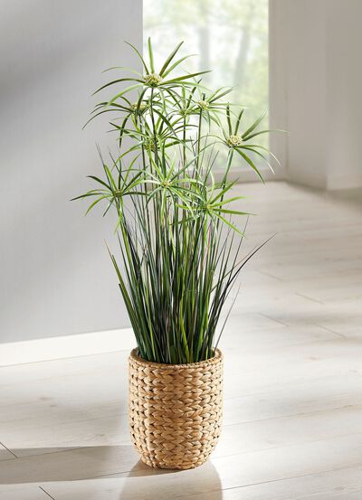 Cyprusgras van hoogwaardig kunstmateriaal, in pot 