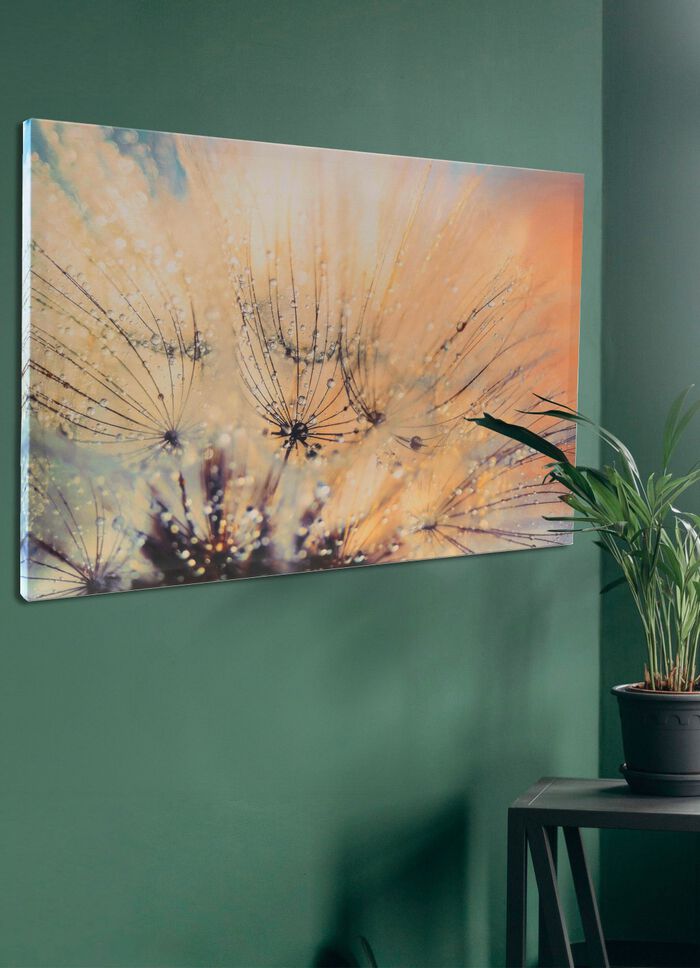 Canvasfoto met certificaat 