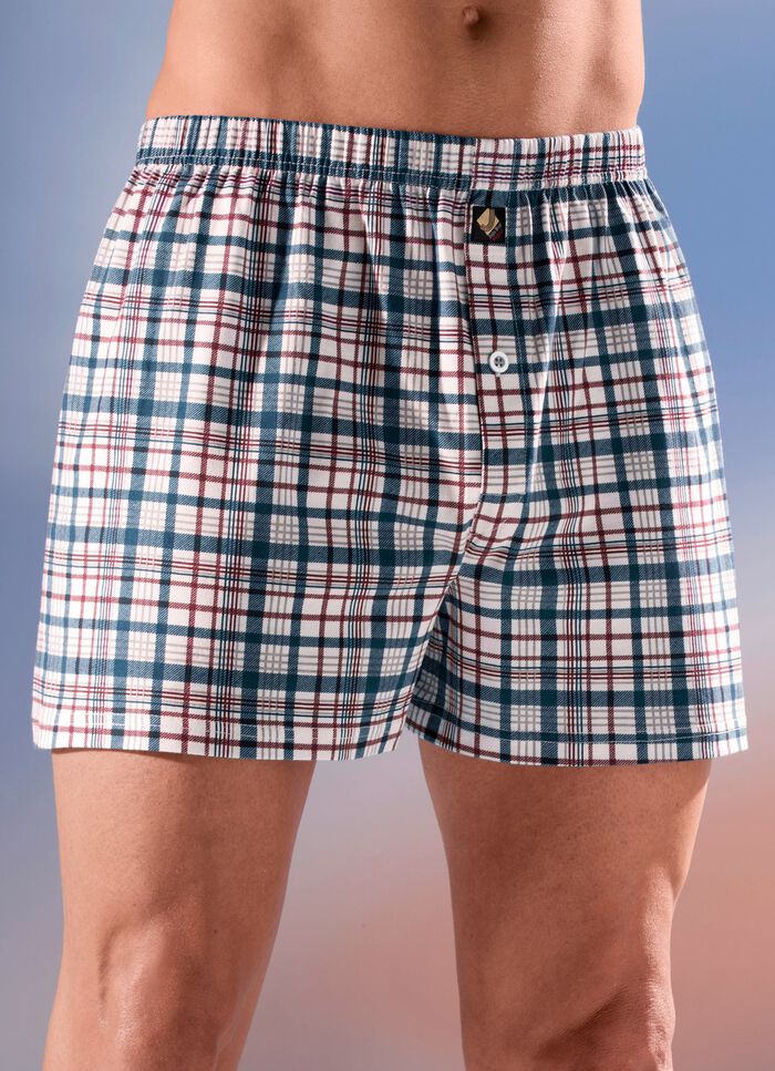 Vierpack boxershorts, geruit, met knoopsluiting 