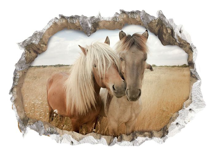 3D-muurtattoo met indrukwekkend 3D-effect 