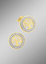 Moderne levensboom oorknopjes 