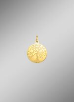 Prachtige levensboom hanger 