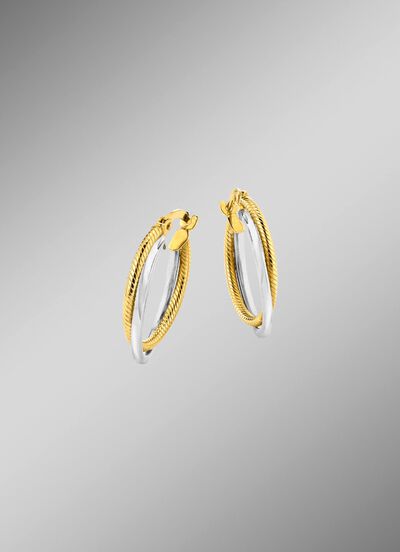 Glanzende oorringen in twee kleuren, 2 rijen 