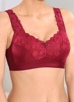 BH met subtiel glanzend elastisch kant 