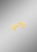 Chique oorbellen in een bloemendesign 