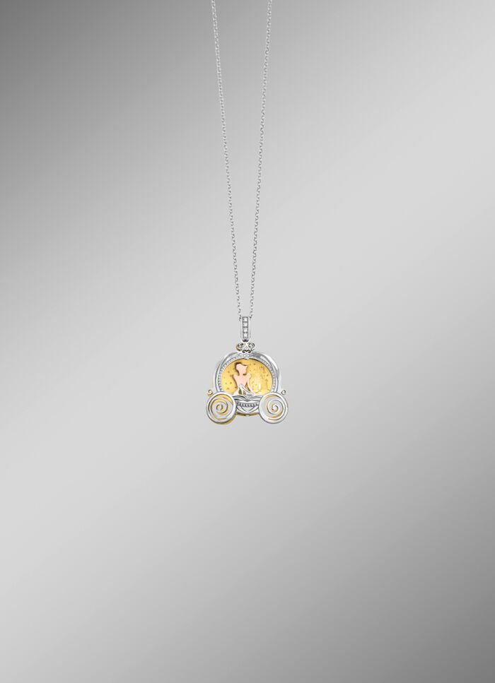 Hanger "Assepoester" met ankerketting 