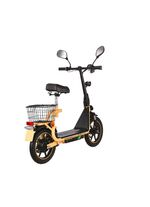 elektrische scooter 