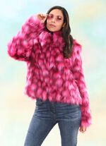 Kort jasje met een hoge aaibaarheidsfactor 