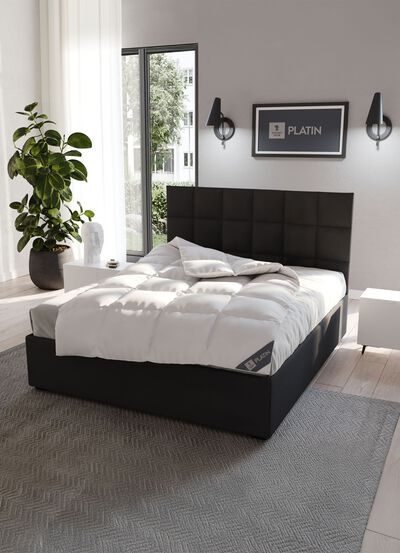 Downprogramma platina van Spessarttraum 