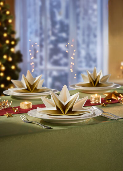 Gevouwen servetten, set van 8 