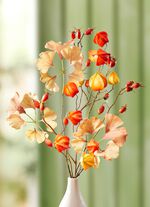 Herfsttakken in een set van 3 