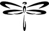 BADERnl_NL1Logo_Libelle_2022H