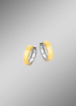 Dubbelzijdige creolen in twee kleuren 