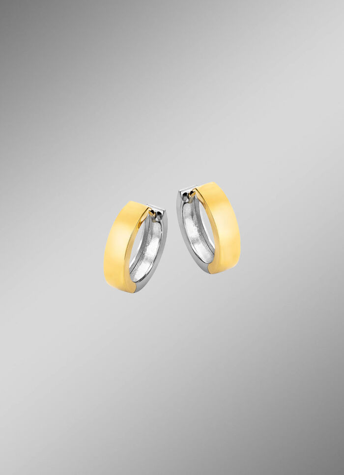 Dubbelzijdige creolen in twee kleuren 