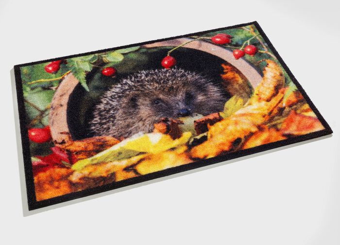 Deurmat met egelmotief MULTICOLOR