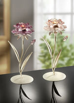 Glazen theelichthouders, set van 2 