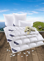 Hoogwaardige donzen dekbedserie van Spessarttraum WIT