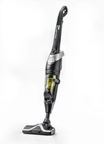 Rowenta RH8155 steelstofzuiger met hoge zuigkracht 