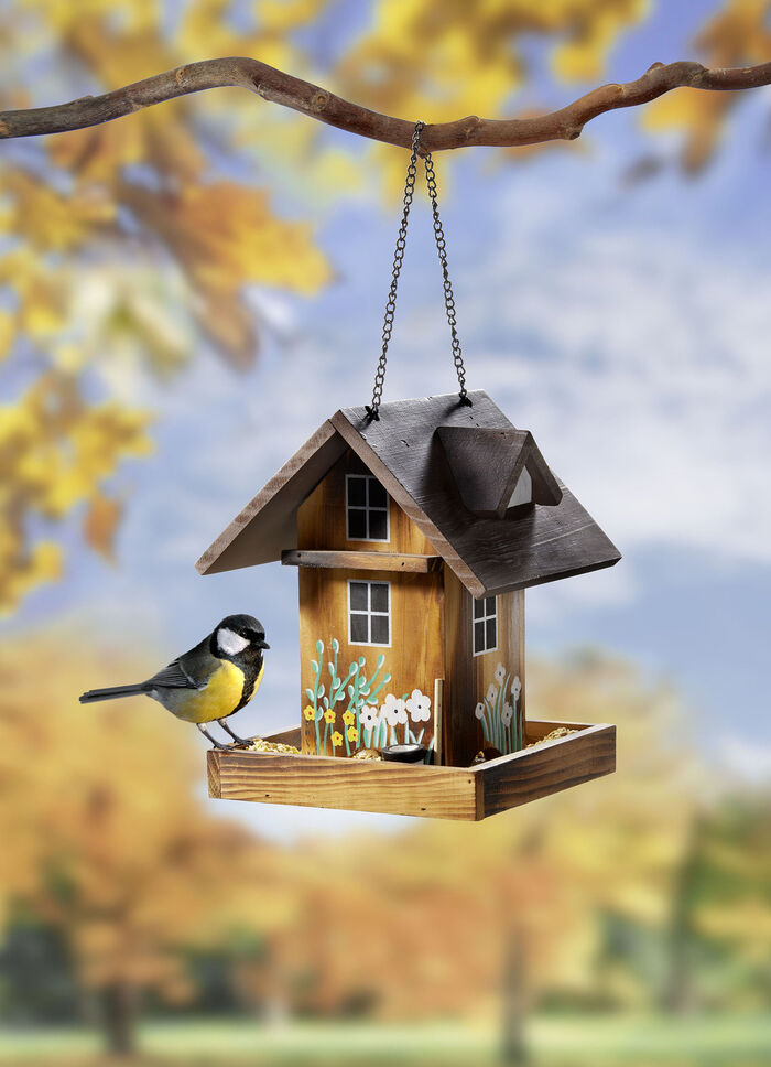 Geschilderde vogelvoeder inclusief metalen ketting 