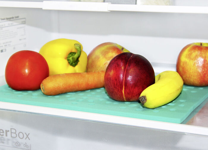 Koelkastpad set van 2 