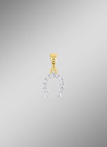 hoefijzerhanger met 10 diamanten 