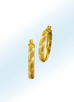 Deels gematteerde creoolse oorbellen 