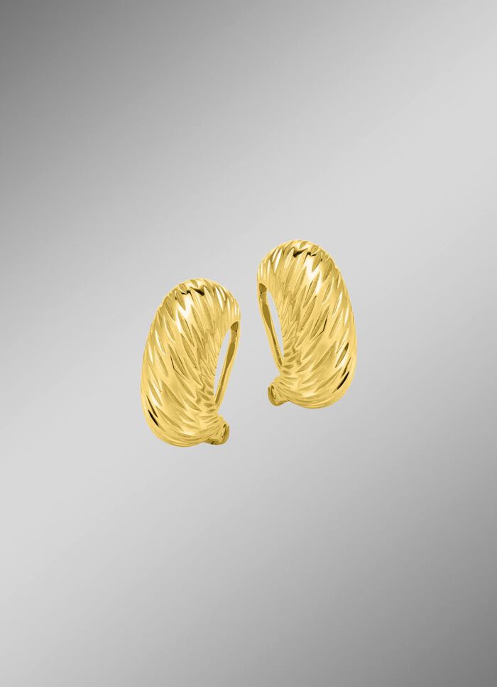 Stijlvolle verfijning &ndash; elegante oorclips van 925/- fijn zilver 