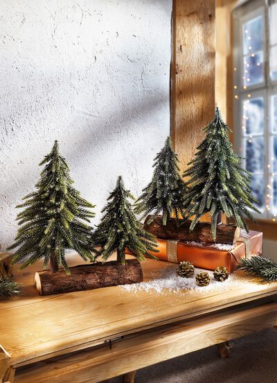 Dennenboom op boomstam 